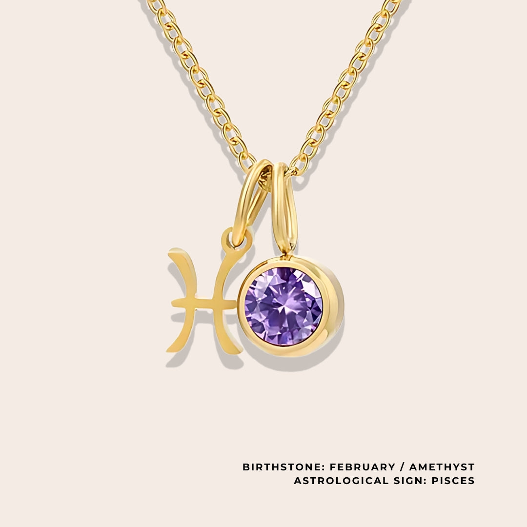 Astrological Birthstone Pendant February. Crafted from stainless steel and available in luxurious 14K gold, sleek silver, or rose gold plating, this necklace features your zodiac sign alongside your birthstone.