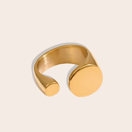 Briar Bifacial Signet Ring. Crafted from stainless steel and luxuriously plated in real gold.